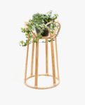 Suporte para plantas ratã